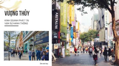 Tiện ích sống tại Vaquarius - Khu phố mới Văn Giang Hưng Yên